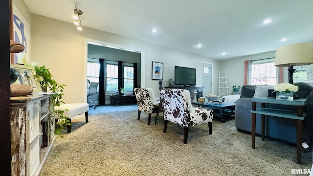 308 W Reed St, Benton, IL 62812 - living room with carpet flooring and recessed lighting