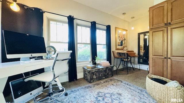 308 W Reed St, Benton, IL 62812 - office featuring healthy amount of natural light and carpet flooring