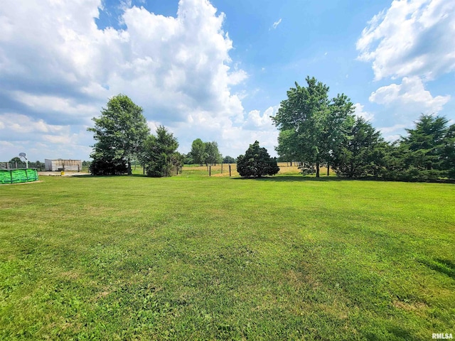 232 Palm Ln, Flora, IL 62839 - view of green lawn