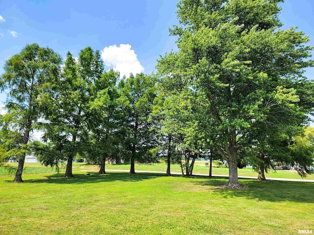 232 Palm Ln, Flora, IL 62839 - view of home's community featuring a lawn