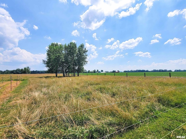 232 Palm Ln, Flora, IL 62839 - view of undeveloped land with rural landscape