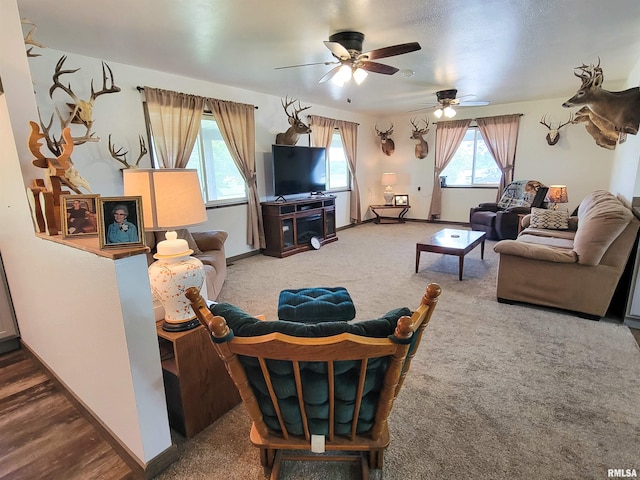 232 Palm Ln, Flora, IL 62839 - carpeted living area with ceiling fan and baseboards