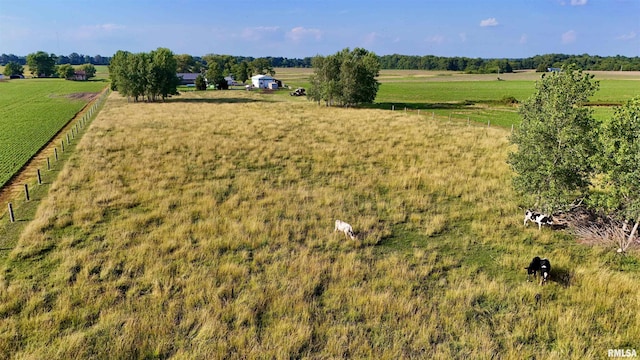 232 Palm Ln, Flora, IL 62839 - overview of rural landscape