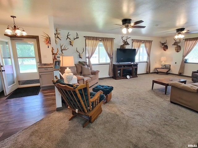 232 Palm Ln, Flora, IL 62839 - carpeted living area featuring healthy amount of natural light, a ceiling fan, a chandelier, and wood finished floors