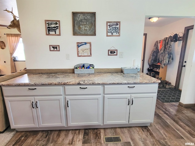 232 Palm Ln, Flora, IL 62839 - kitchen featuring dark wood-type flooring and light stone counters
