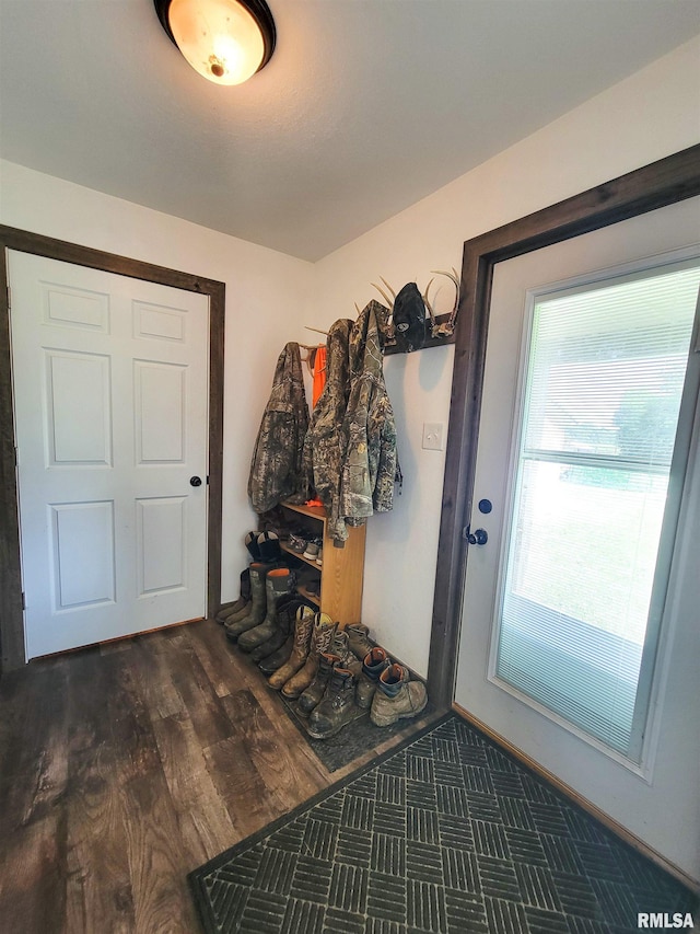 232 Palm Ln, Flora, IL 62839 - view of entryway