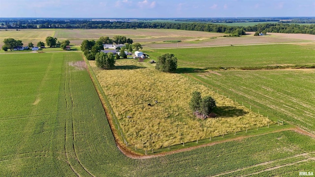 232 Palm Ln, Flora, IL 62839 - aerial view of sparsely populated area featuring large plots for crops