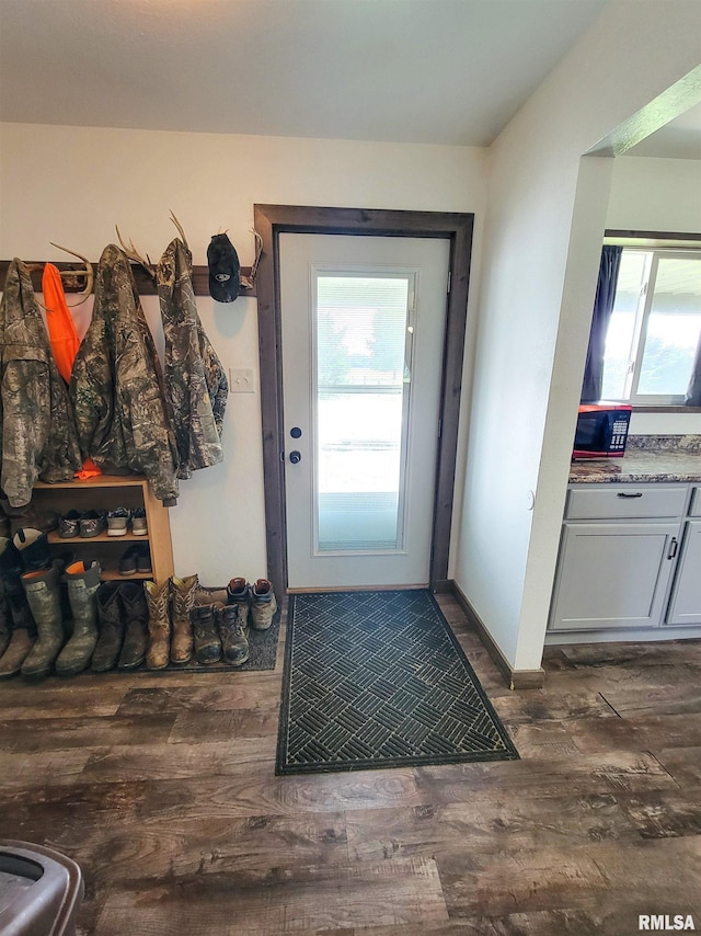 232 Palm Ln, Flora, IL 62839 - doorway to outside featuring dark wood-type flooring