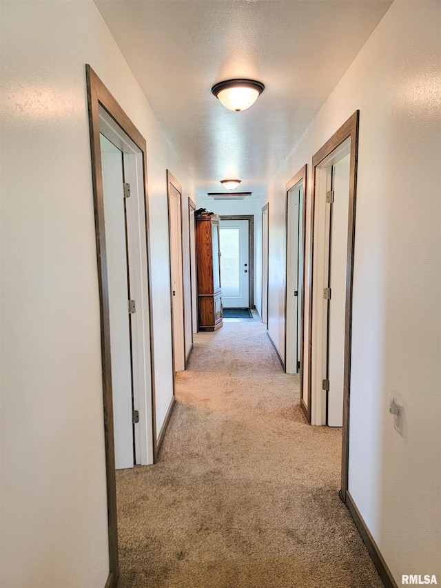 232 Palm Ln, Flora, IL 62839 - hall featuring light carpet