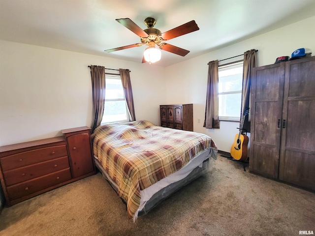 232 Palm Ln, Flora, IL 62839 - carpeted bedroom with multiple windows and ceiling fan