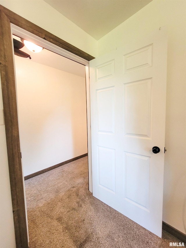 232 Palm Ln, Flora, IL 62839 - unfurnished bedroom with carpet and baseboards