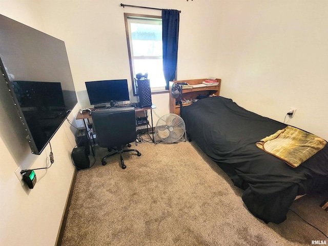 232 Palm Ln, Flora, IL 62839 - bedroom with carpet floors and a desk