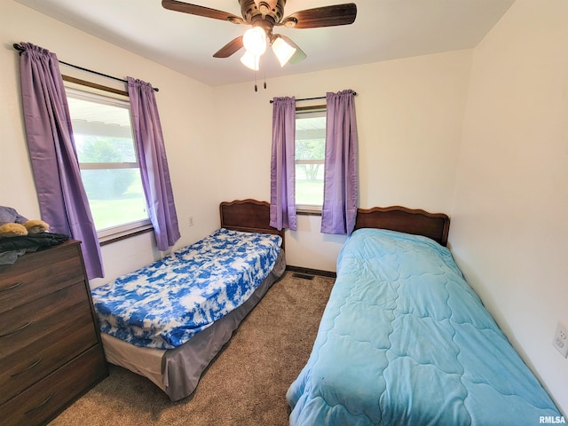 232 Palm Ln, Flora, IL 62839 - carpeted bedroom with multiple windows and ceiling fan