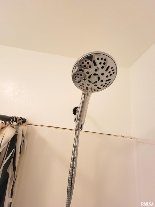 232 Palm Ln, Flora, IL 62839 - bathroom view of a shower