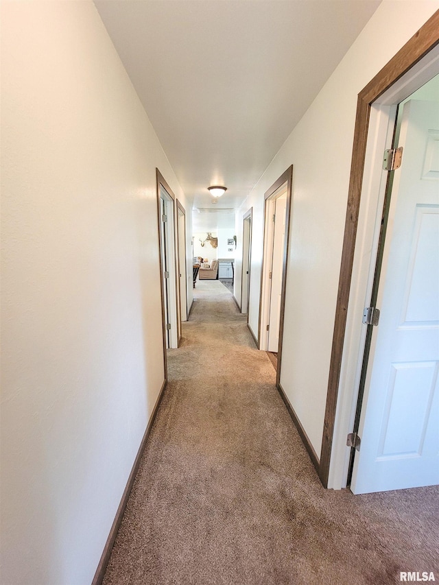 232 Palm Ln, Flora, IL 62839 - hallway featuring light colored carpet and baseboards