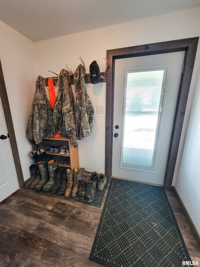 232 Palm Ln, Flora, IL 62839 - doorway featuring wood finished floors