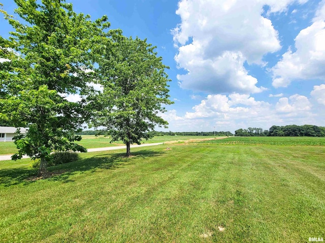 232 Palm Ln, Flora, IL 62839 - view of green lawn with a view of rural / pastoral area