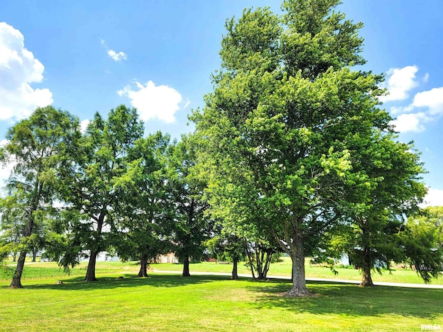 232 Palm Ln, Flora, IL 62839 - surrounding community featuring a yard