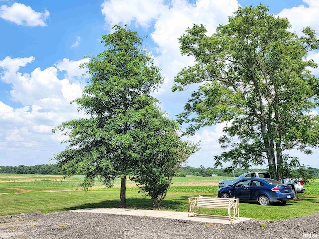 232 Palm Ln, Flora, IL 62839 - view of green lawn