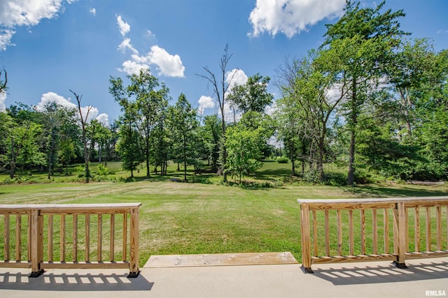 1471 Woods Ln, Centralia, IL 62801 - view of green lawn with view of wooded area