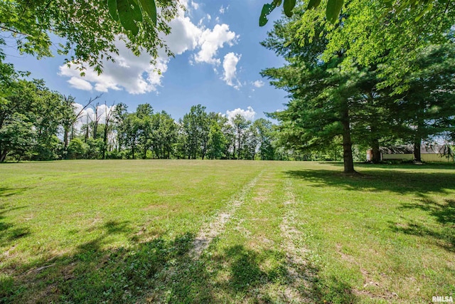 1471 Woods Ln, Centralia, IL 62801 - view of grassy yard