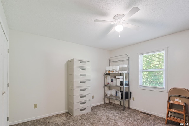416 W Harrison St, Carrier Mills, IL 62917 - bedroom with carpet, a textured ceiling, and a ceiling fan