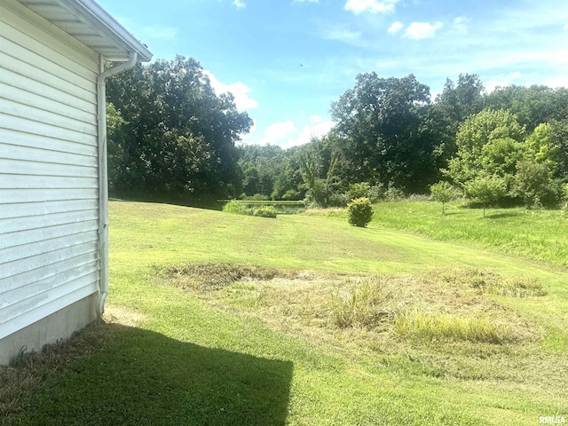 2448 E State Route 161st Rte, Centralia, IL 62801 - view of green lawn