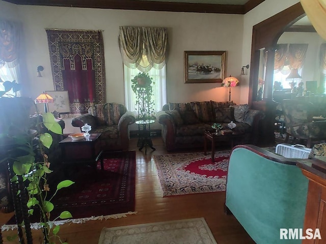 319 High St, Mound City, IL 62963 - living room featuring wood finished floors
