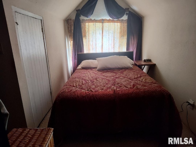 319 High St, Mound City, IL 62963 - bedroom featuring lofted ceiling
