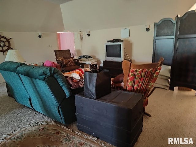 319 High St, Mound City, IL 62963 - living area with carpet floors