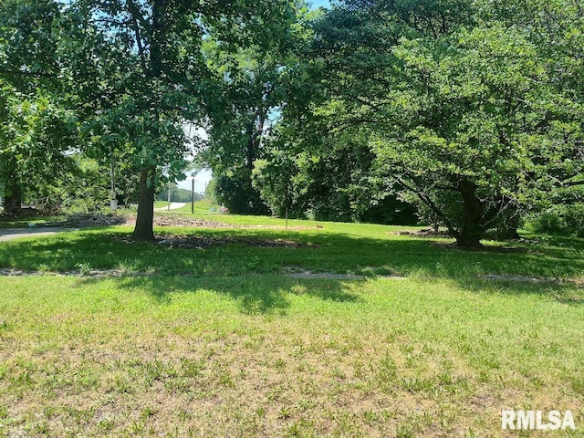 319 High St, Mound City, IL 62963 - view of grassy yard