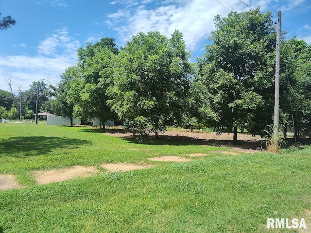 319 High St, Mound City, IL 62963 - view of green lawn
