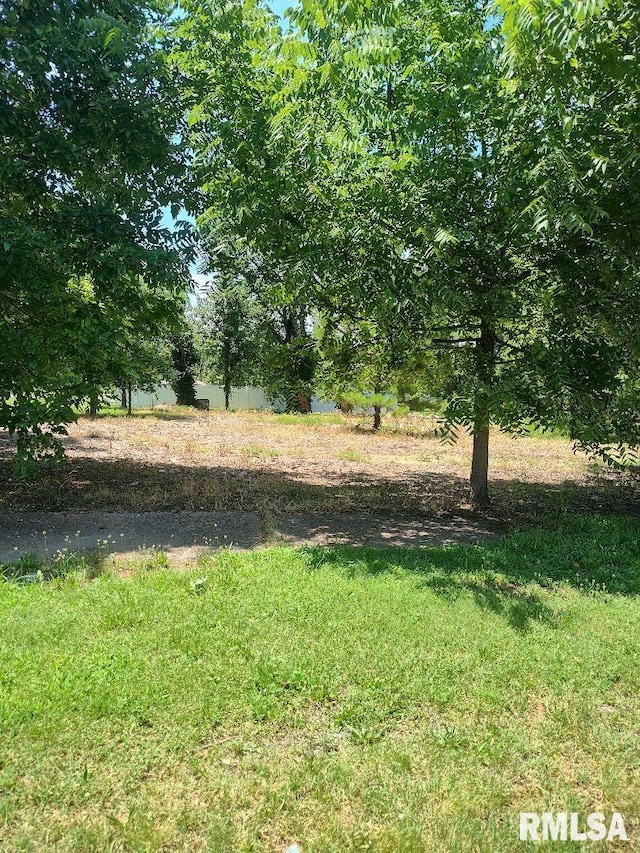319 High St, Mound City, IL 62963 - view of yard