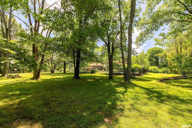 243 Pump Station Rd, Makanda, IL 62958 - view of grassy yard featuring view of wooded area