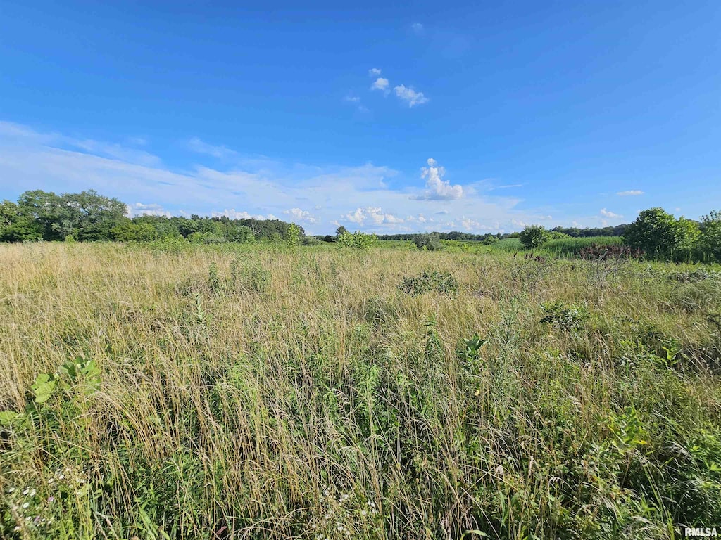 0000 E Bakersville Rd, Belle Rive, IL 62810