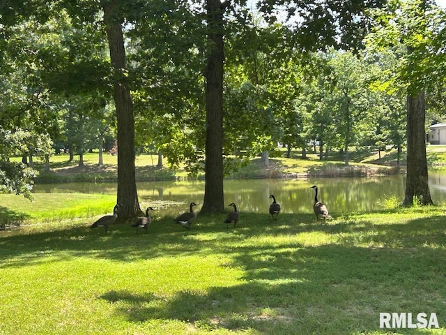 LOT59 Wildwood Pl, Dix, IL 62830