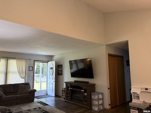 2119 Rains St, Murphysboro, IL 62966 - living room featuring wood finished floors and a textured ceiling