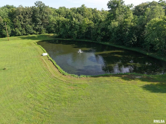 1016 Michael Ln, West Frankfort, IL 62812 - water view featuring a forest
