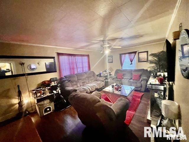 416 S Washington St, Carbondale, IL 62901 - living room with a ceiling fan and wood finished floors
