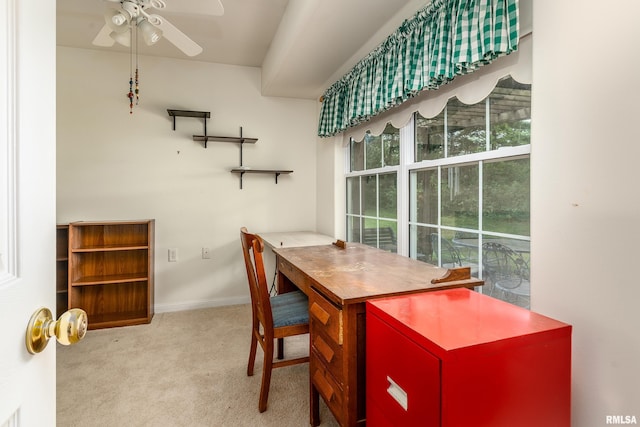 508 Lexington Ct, Carbondale, IL 62901 - office space featuring carpet and a ceiling fan