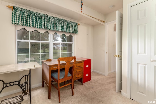508 Lexington Ct, Carbondale, IL 62901 - dining space with carpet and baseboards