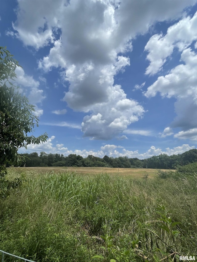 17726 Quiet Acres Rd, Scheller, IL 62883 - view of undeveloped land with rural landscape