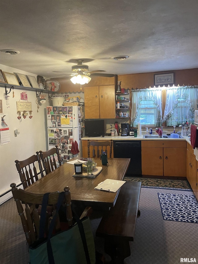 17726 Quiet Acres Rd, Scheller, IL 62883 - dining area with ceiling fan and a textured ceiling