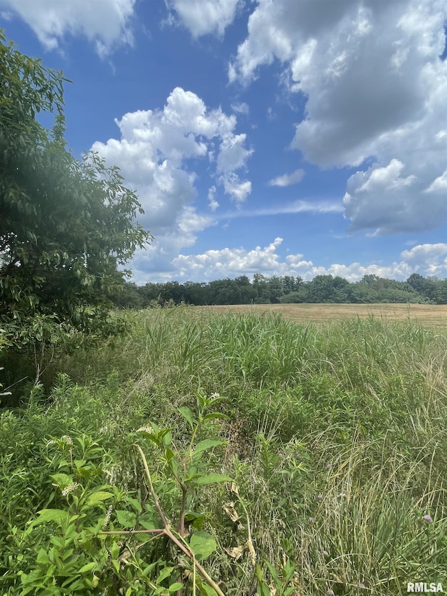 17726 Quiet Acres Rd, Scheller, IL 62883 - view of local wilderness featuring rural landscape