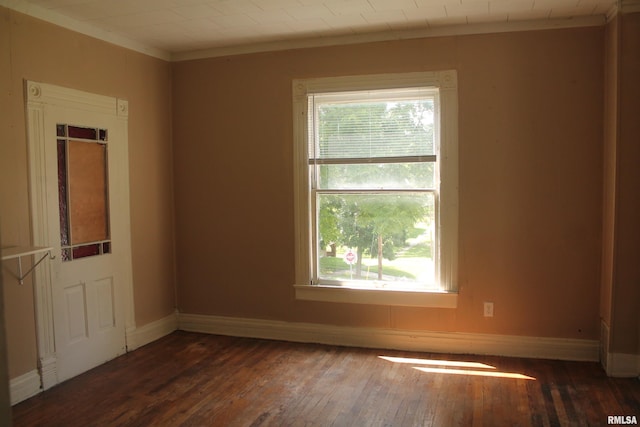 314 W Elm St Unit 3, Carbondale, IL 62901 - photo 3