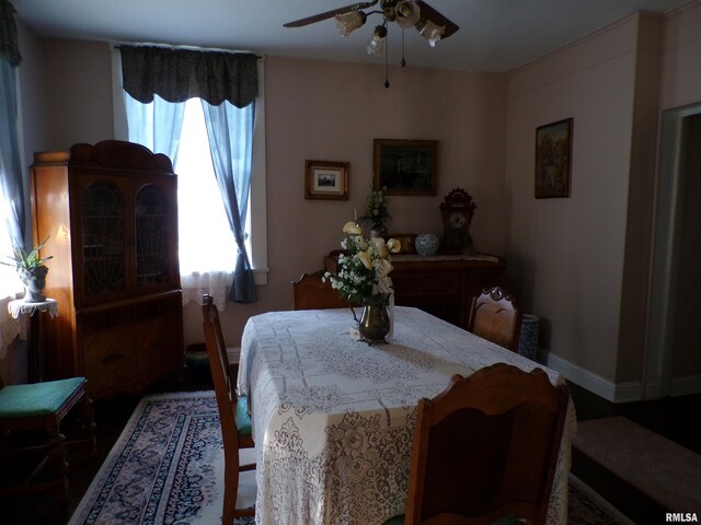 410 S Saint Louis St, Sparta, IL 62286 - photo 12