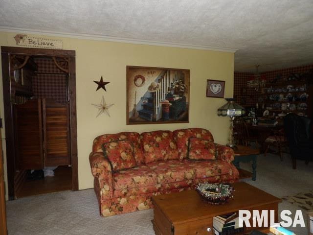 600 Panama St, Eldorado, IL 62930 - photo 9
