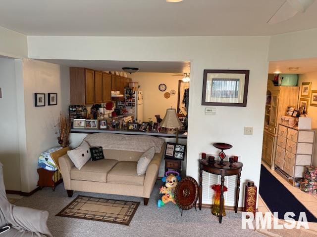 3105 W Sunset Dr, Carbondale, IL 62901 - photo 5