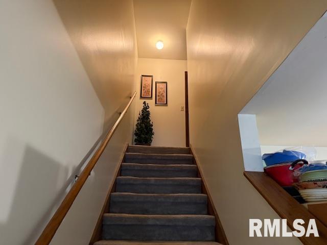 3105 W Sunset Dr, Carbondale, IL 62901 - photo 8