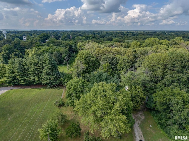 303 E S St, Mulberry Grove, IL 62282 - photo 31